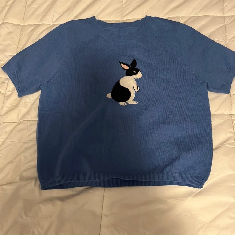 Blue sweater shirt with bunny design